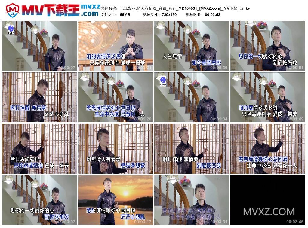 王江发-无情人有情汉_台语_流行_MD104031